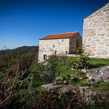 Casas Dos Avos Guest House Vale de Cambra Cameră foto