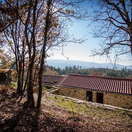 Casas Dos Avos Guest House Vale de Cambra Cameră foto