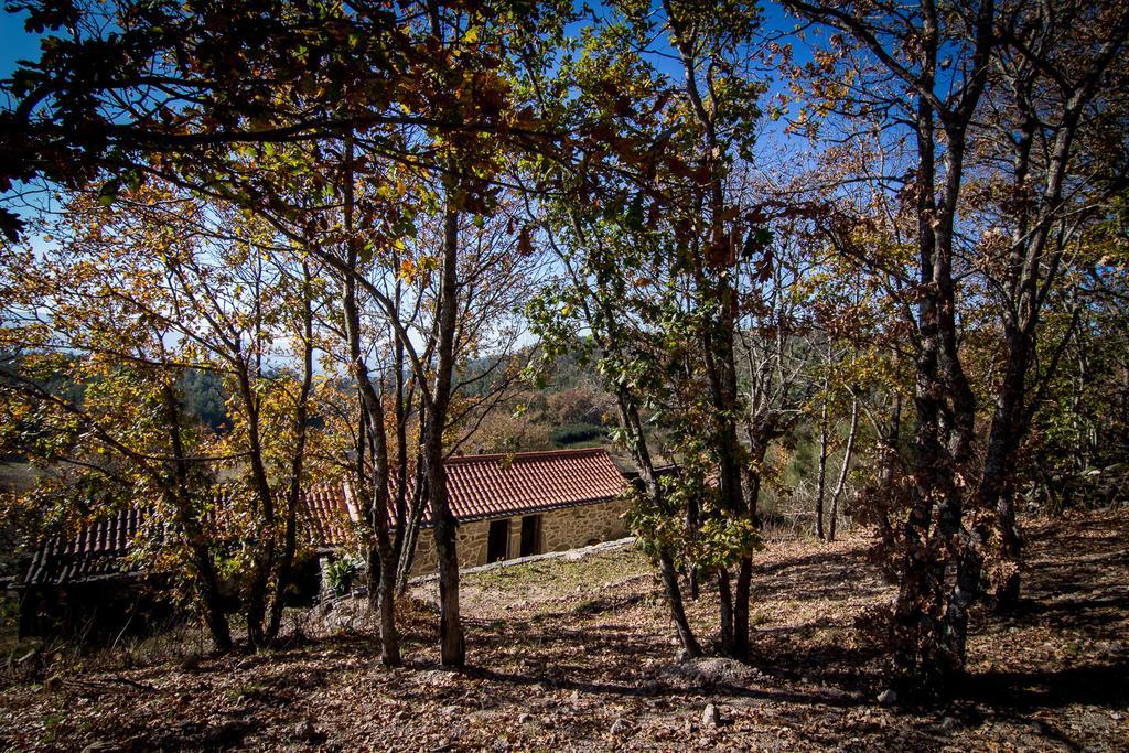 Casas Dos Avos Guest House Vale de Cambra Cameră foto