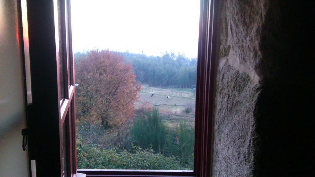 Casas Dos Avos Guest House Vale de Cambra Cameră foto