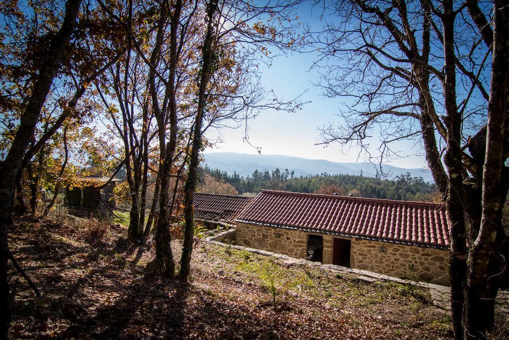Casas Dos Avos Guest House Vale de Cambra Cameră foto