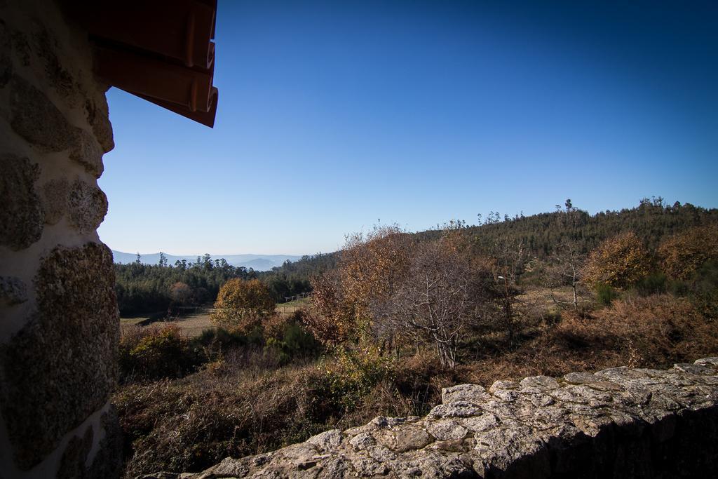 Casas Dos Avos Guest House Vale de Cambra Cameră foto