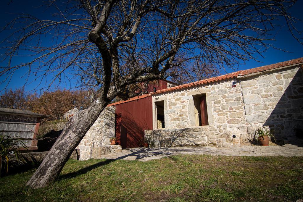 Casas Dos Avos Guest House Vale de Cambra Cameră foto